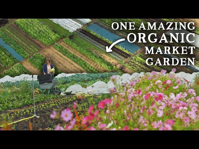 From Horse Pasture to Thriving Market Garden in Just 2 Years!