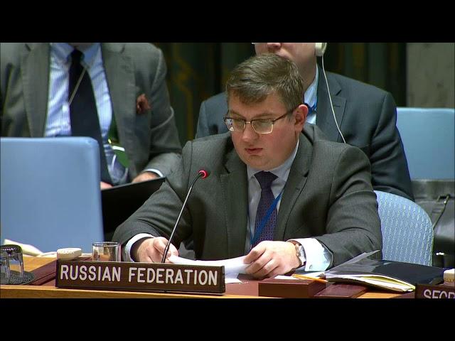 Statement by Alexander Repkin at the UNSC briefing on UNAMID