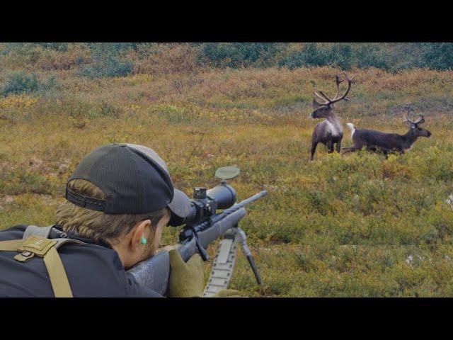 DIY Alaska Caribou Hunt (The Wildest Week of My Life)