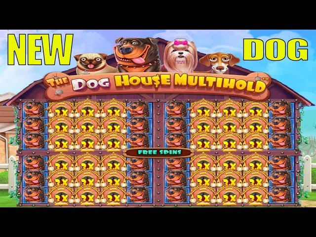 THE DOG HOUSE MULTIHOLD - I OPEN ALL FOUR WINDOWS - BIG CASINO WIN BONUS BUY SLOT ONLINE