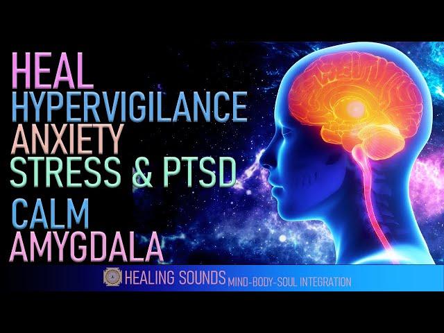 Hypervigilance | Calm The Amygdala | Train Your Brain To Stop Fear | Heal Anxiety Stress & PTSD