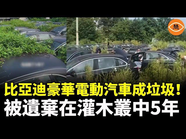 比亞迪奔馳合作的豪華電動車Denza成棄兒 872輛新車被遺棄在草叢裡5年