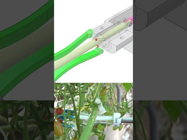 Fruit Harvesting Mechanisms#cad  #machine #engineering #fusion360#solidworks