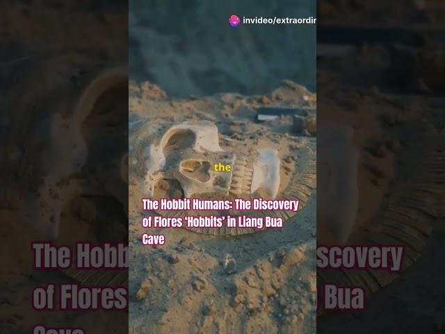 The Hobbit Humans: The Discovery of Flores ‘Hobbits’ in Liang Bua Cave!