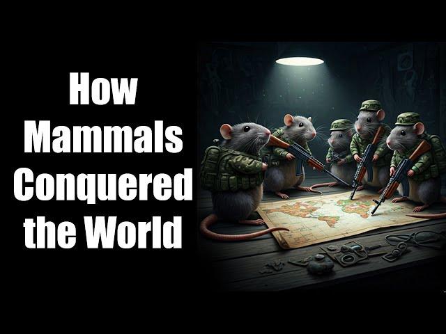 A Brief History of Mammals