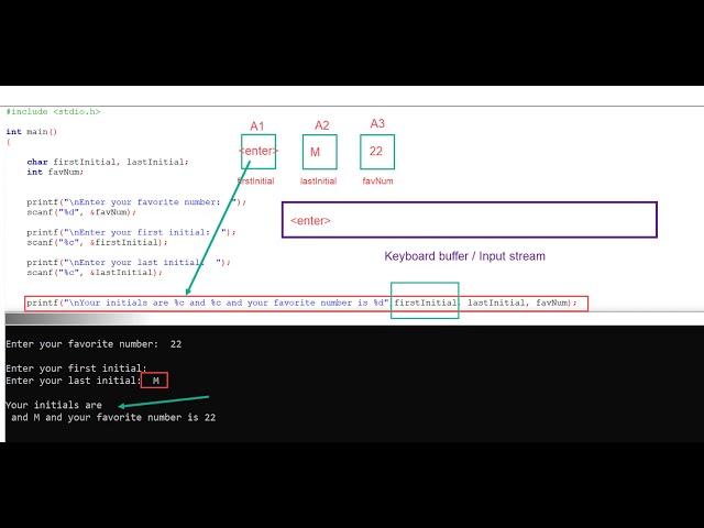 C Programing Issues with scanf() and character data