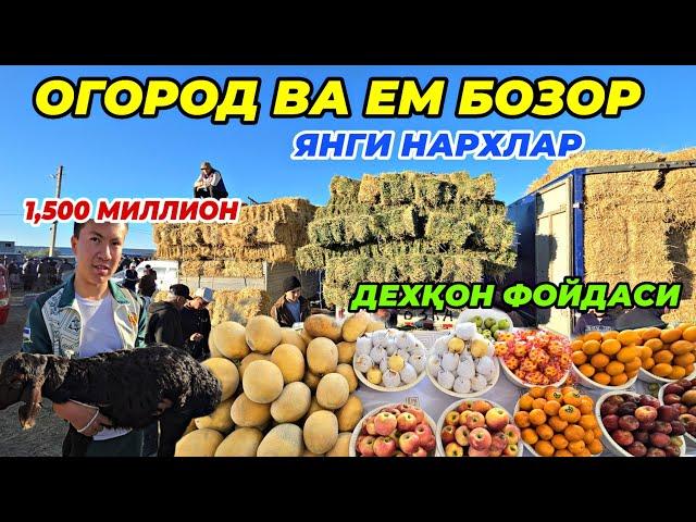 ДИККАТ! ЕМ-ХАШАК ВА ОГОРОД БОЗОР: Ковун, тарвуз, кунжара, шрот, кепак, шелуха ва ўт нархлари 2024