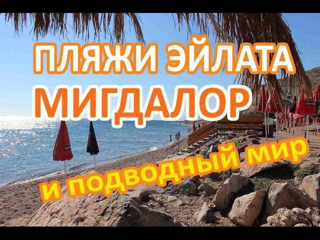 Пляжи Эйлата. Пляж Мигдалор в январе. Подводный мир Красного моря