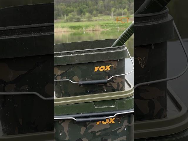 #fox