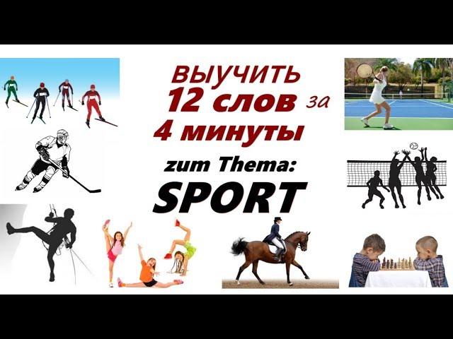 учить немецкие слова  по теме Sport. Немецкий язык.