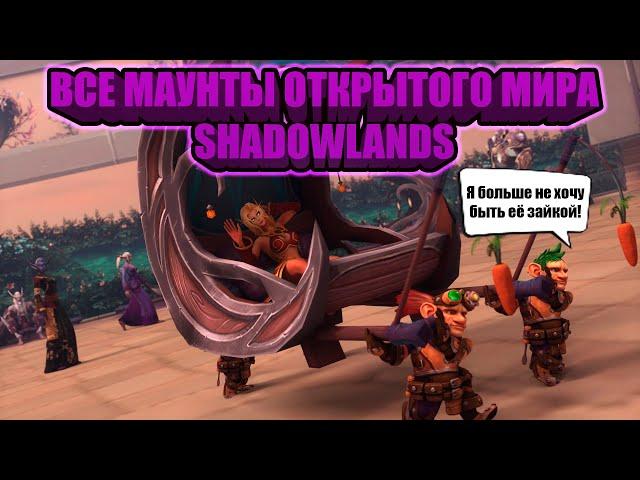 ВСЕ МАУНТЫ ОТКРЫТОГО МИРА SHADOWLANDS | ОБЗОР И КАК ПОЛУЧИТЬ