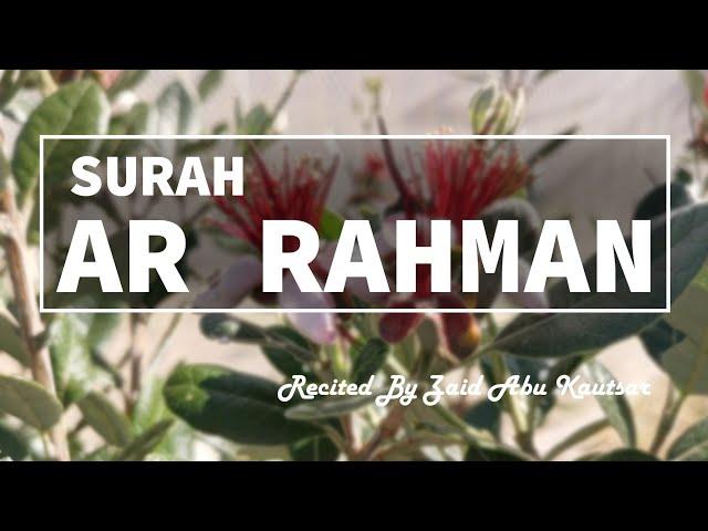 SURAH AR RAHMAN | Relaxing Nature Video with Soothing Recitation | سورة الرحمن