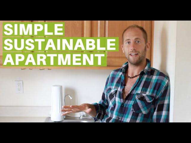 17 Simple Tips for Living More Sustainably in a City Apartment