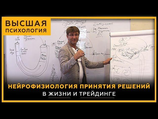 Нейрофизиология принятия решений. В жизни и трейдинге. Высшая психология. Сергей Змеев. 18+