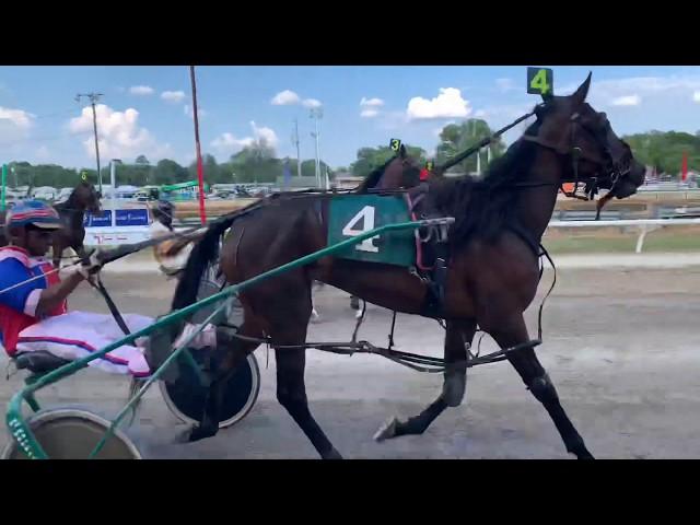 Harness Racing Up Close and Personal