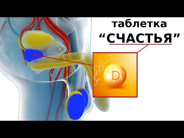 Как повысить потенцию натуральным способом БЕЗ Виагры и Тестостерона / D-гормон