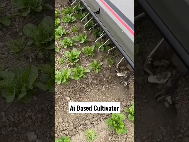 Smart Weeding Cultivator By Stout Industrial Technology Salinas California || #shorts