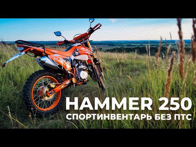 HAMMER 250 | СПОРТИНВЕНТАРЬ В СТИЛЕ ЭНДУРО | ЭНДУРО БЕЗ ПТС | ОБЗОР НОВИНКИ 2024