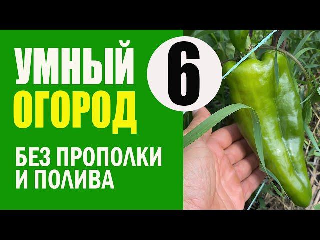 Умный Огород - 6 ч. ОТВЕТЫ и РЕЗУЛЬТАТЫ. Не Нужно Поливать и Пропалывать. Урожайный Огород