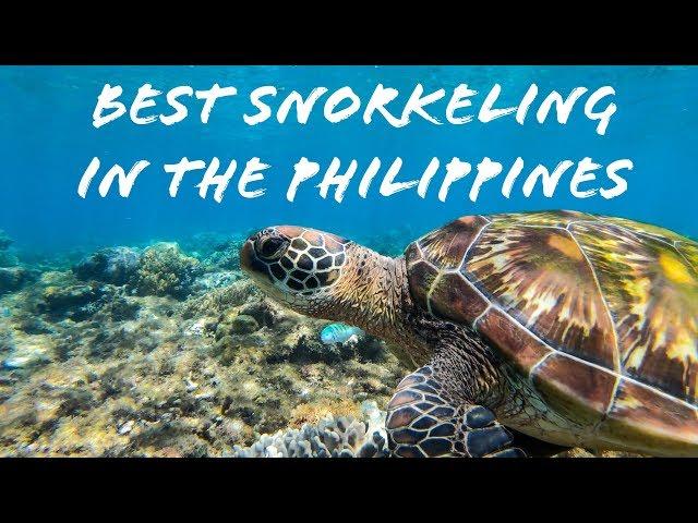 BEST Snorkeling in the Philippines