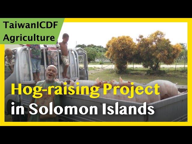 Integrated Hog-raising Project (Solomon Islands)