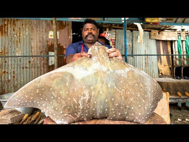 KASIMEDU SELVAM BIG STRING RAY FISH CUTTING VIDEO  | KASIMEDU SELVAM FISH CUTTING | UK SONS MARINE