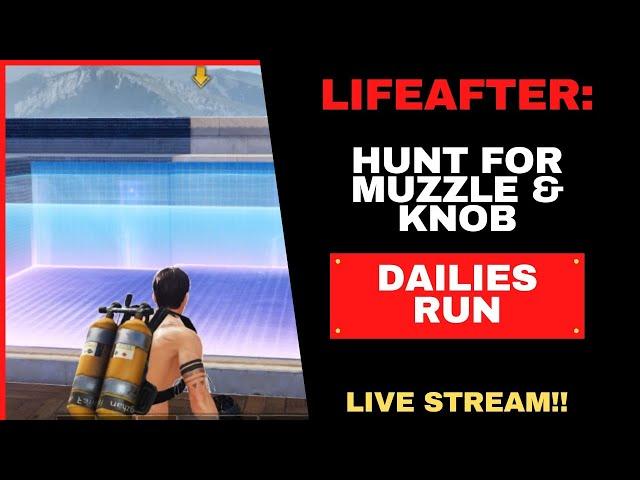 DAILIES RUN & NANCY - LIVE STREAM - JOIN ME !! LIVE #2