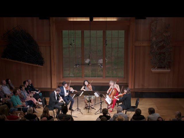 Boccherini: Flute Quintet in B-flat Major, Op. 19, No. 5, II. Allegro assai - Ensemble