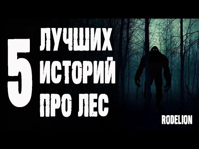 Страшные истории про лес. Сборник лучших историй про лес канала Rodelion.