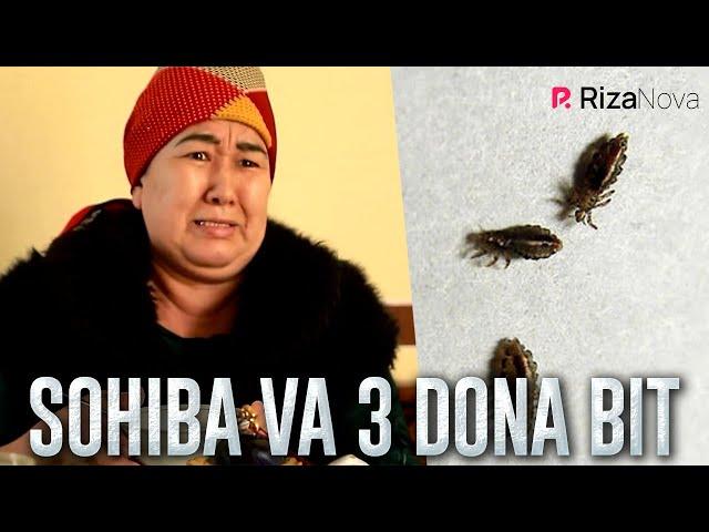 Qalpoq - Sohiba va 3 dona bit