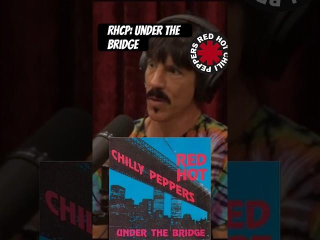 AK’s Most Honest Song #jre #jreshorts #jreclips #jrepodcast #joerogan #joeroganpodcast #jreshorts