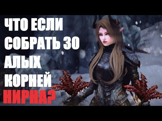 Что  Будет Если Собрать 30 Алых Корней Нирна? Skyrim