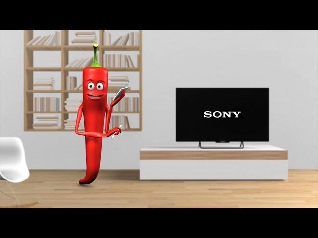 Sony -- Videoanleitung Sendersuchlauf