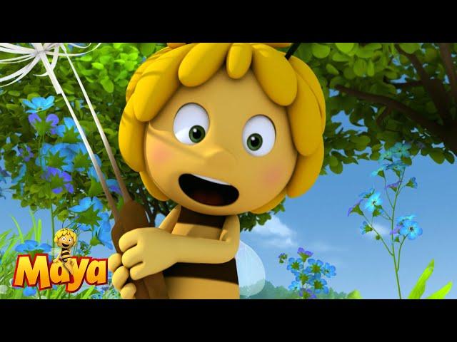 The bees and the dragons - Maya the Bee  - FULL COMPILATION