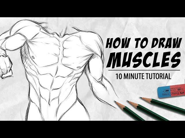 HOW TO DRAW MUSCLES IN 10 MINUTES | SixPack, Arms and Chest | DrawlikeaSir