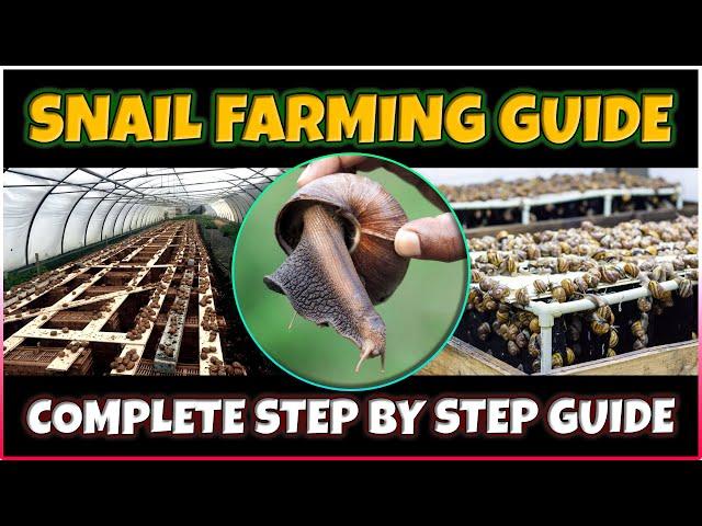 Snail Farming: A Beginner's Guide to Success