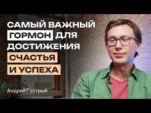 Повышайте окситоцин, чтобы быть счастливым и успешным. Как повысить окситоцин?