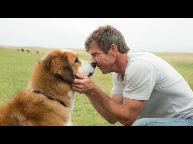 Собачья жизнь / A Dog's Purpose (2017) Дублированный трейлер HD