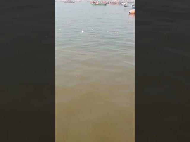 sangam nagri prayagraj