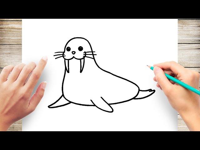 How to Draw Cute Walrus Step by Step