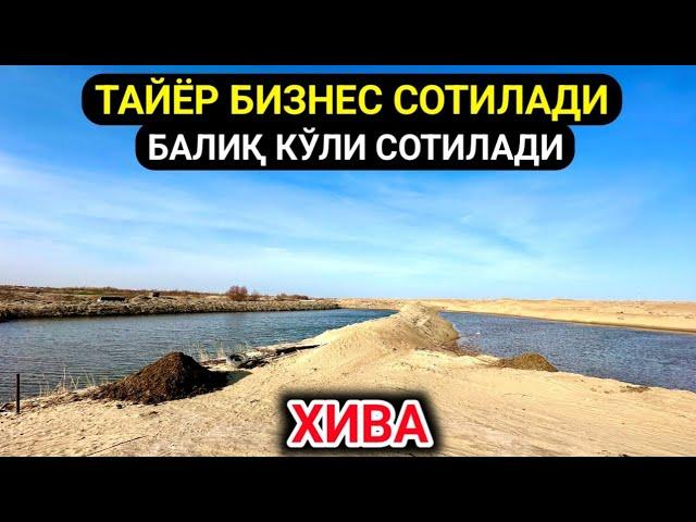 ТАЙЁР БИЗНЕС БАЛИҚ КЎЛИ СОТИЛАДИ ХИВА 24-март 2024 г.