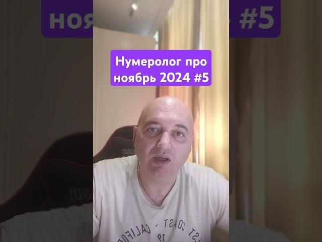 Нумеролог про ноябрь 2024 #5 #нумерология #нумерологическийразбор