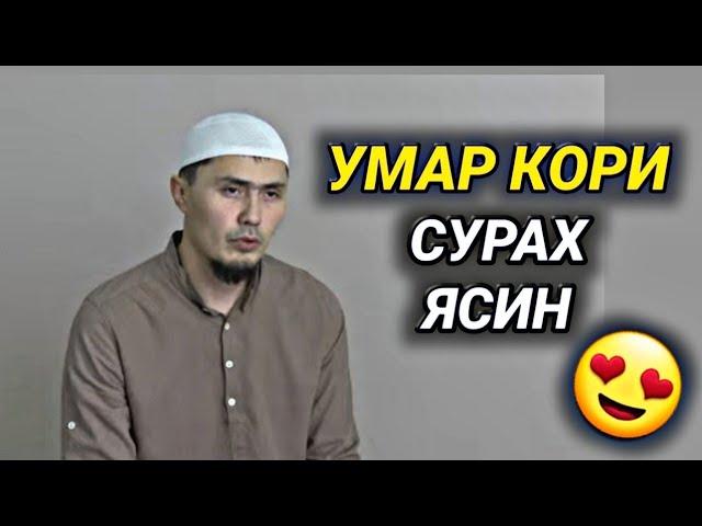 Умар Кори Ош Ясин Сураси