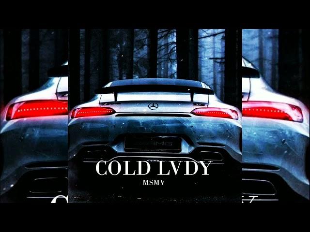 MSMV - Cold Lvdy