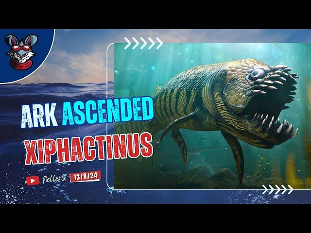 Xiphactinus Taming | The Center Map | Ark Survival Ascended 2024