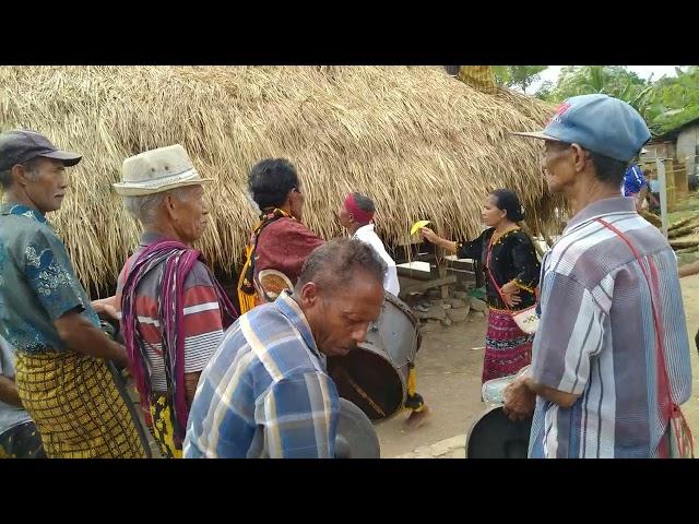 Hari kedua Renovasi Rumah adat (Sa'o Waja) Gezu Kotakeo 1 // Nagekeo