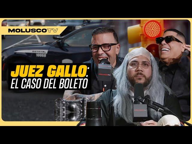 Juez Gallo: "La policia va a pagar los $500"/Pavas en PR/ Caso Estatua de Trump/ Fuego a Ceky Viciny