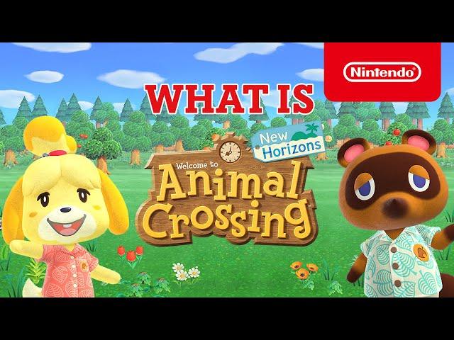 What is Animal Crossing: New Horizons? (Nintendo Switch)