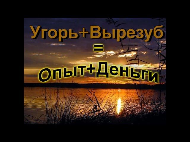 Русская рыбалка 3.9. Двойное комбо на Волге (20 разряд). Угорь+вырезуб=разряд+деньги.