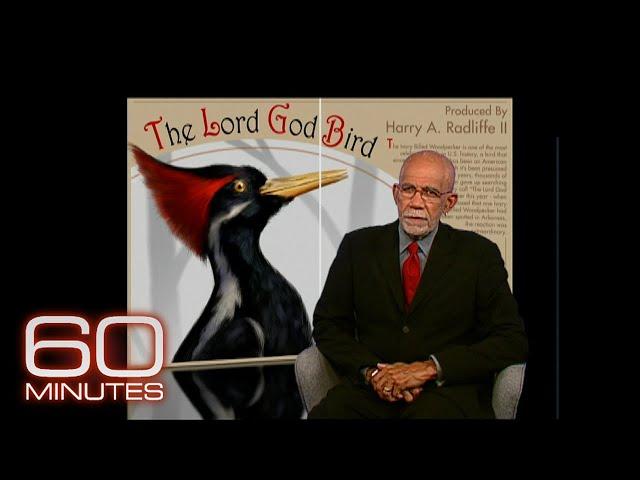 60 Minutes Archive: The Lord God Bird